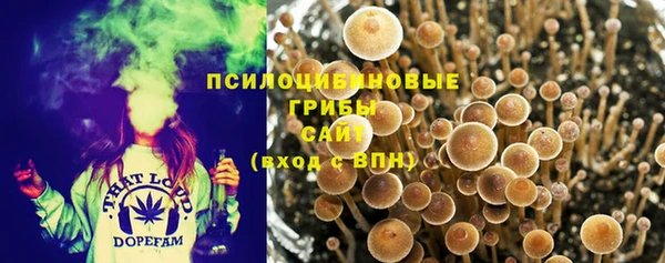 спиды Балахна