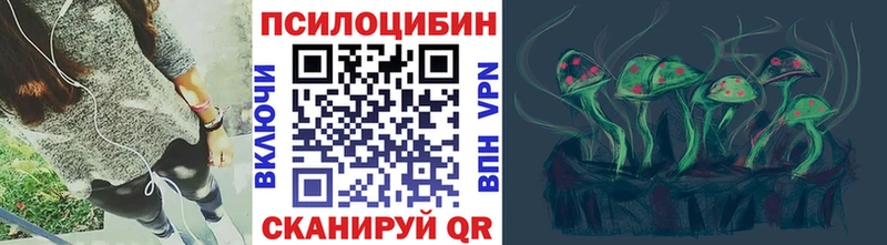 Галлюциногенные грибы Psilocybe  Купить где  Бодайбо 